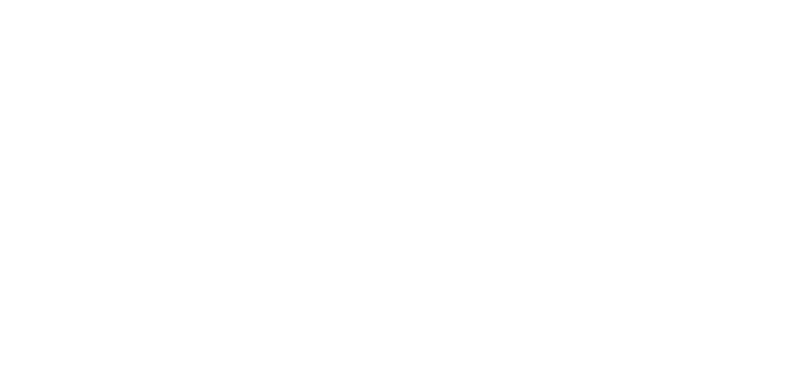 Aegis Full Logo